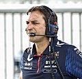 Technisch directeur Red Bull: 'Onze kracht ligt bij de tegenstand'