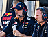 'Dankzij truc van Newey is Red Bull op dat vlak een klasse apart'